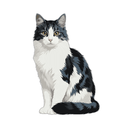 Ägäische Katze