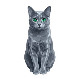 Korat